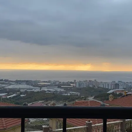 Goldcity * 알란야